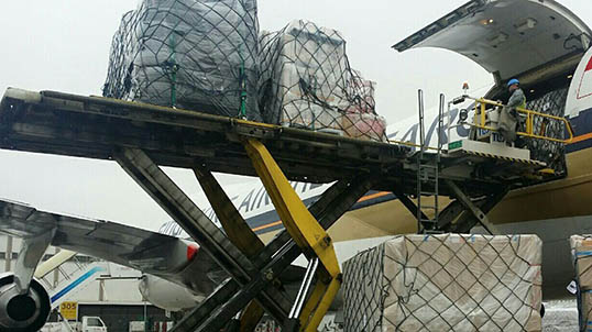 空运货物提供创新和定制的服务/物流解决方案