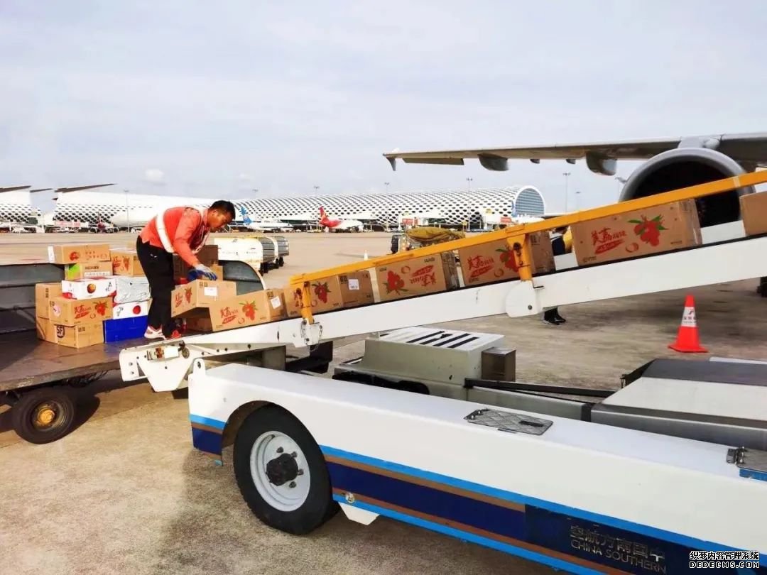 食品上海到东京空运快递隔日达