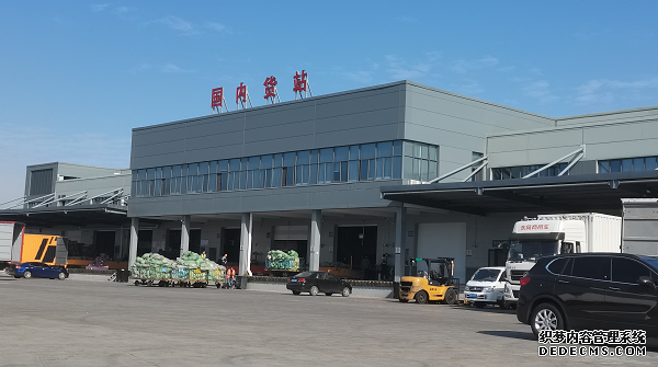 怎么空运青岛到莎车航空急件