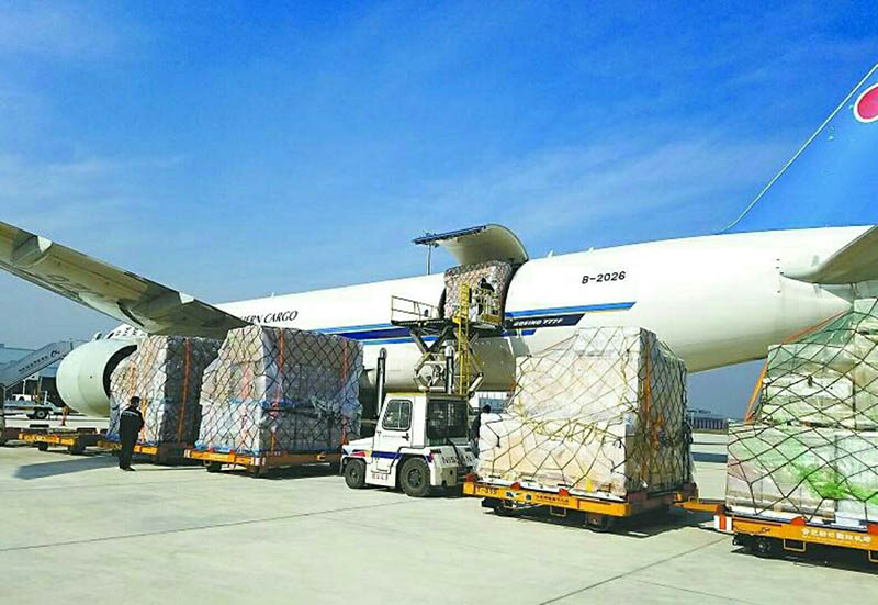 上海航空物流货物分拣/包装