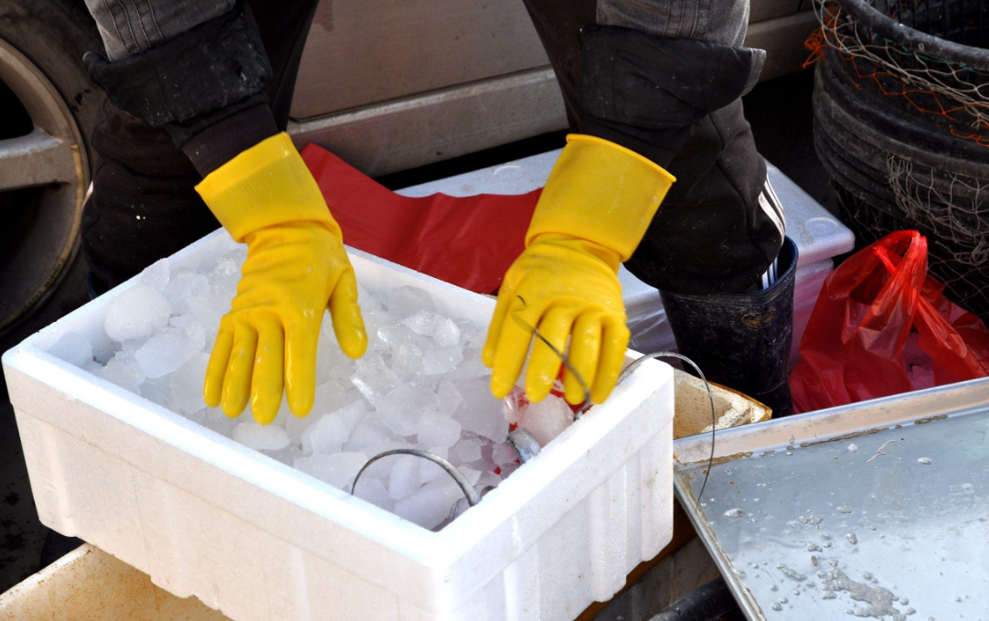 海鲜能走上海航空货运吗