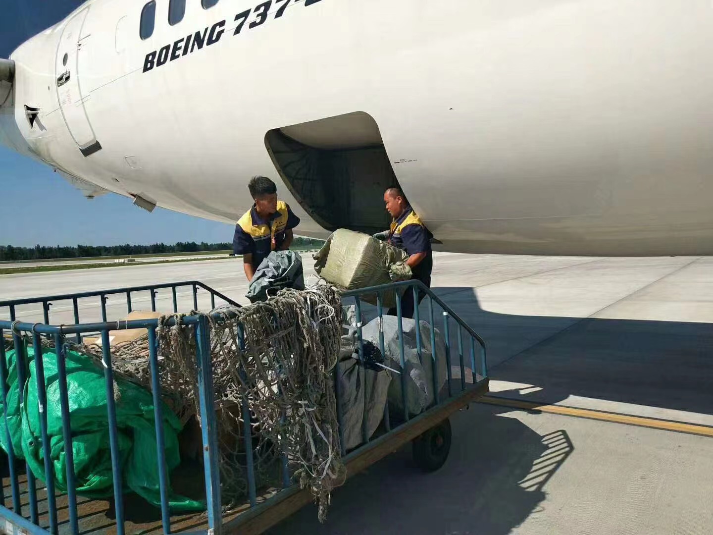 浦东机场空运当日达急件服务电话