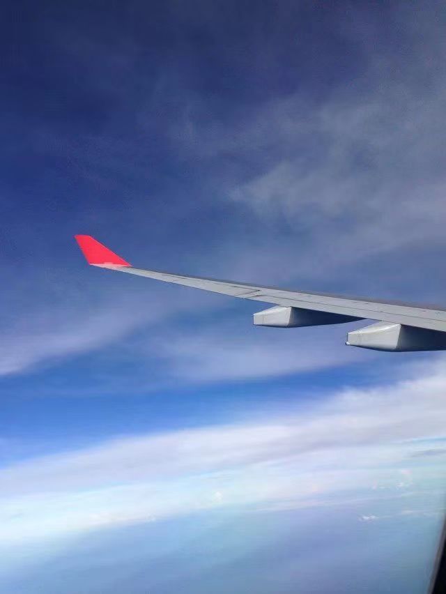 大连机场货运网上如何跟踪状态