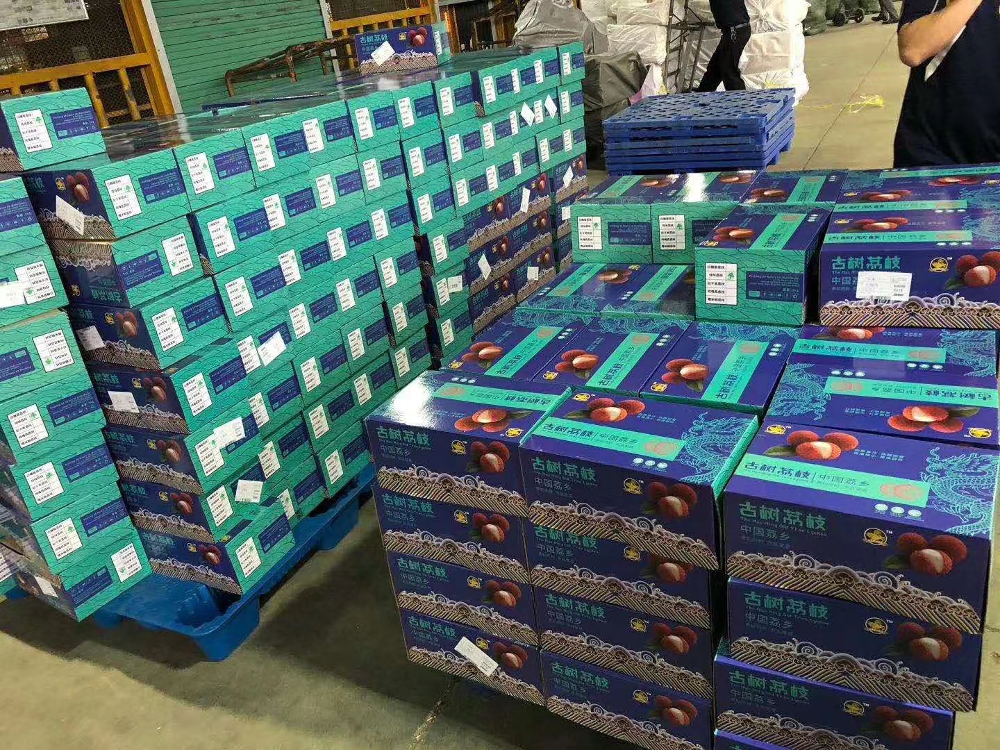 上海到东莞当日达水果快递选择机场货运