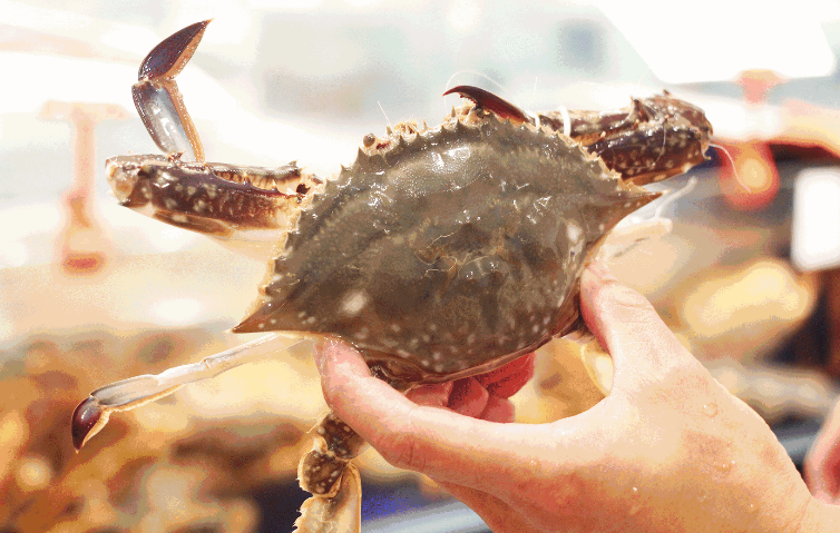 广州机场海鲜  红酒空运更安全 运价更优惠